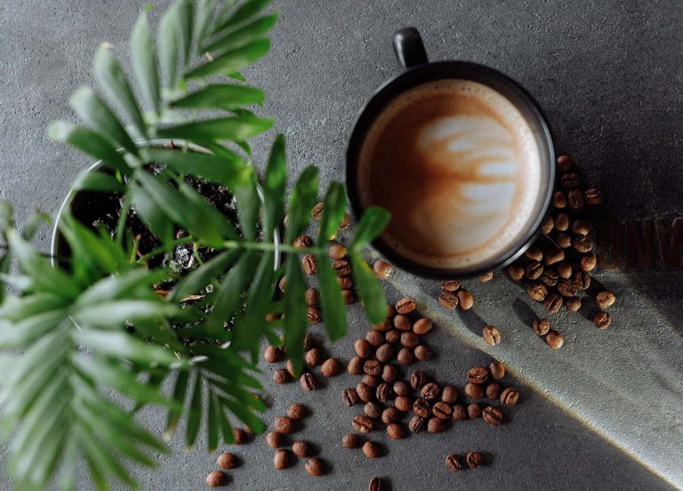 Jak kawa stała się napojem świata?