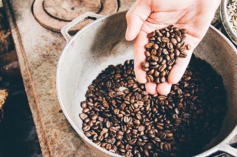 Jak zapewnić zdrową uprawę kawy